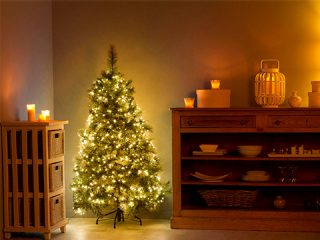 Vaag Tweet Tweede leerjaar Koop je Nordmann kerstboom vanaf 2 december bij Hubo | Hubo