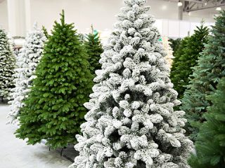 Vaag Tweet Tweede leerjaar Koop je Nordmann kerstboom vanaf 2 december bij Hubo | Hubo